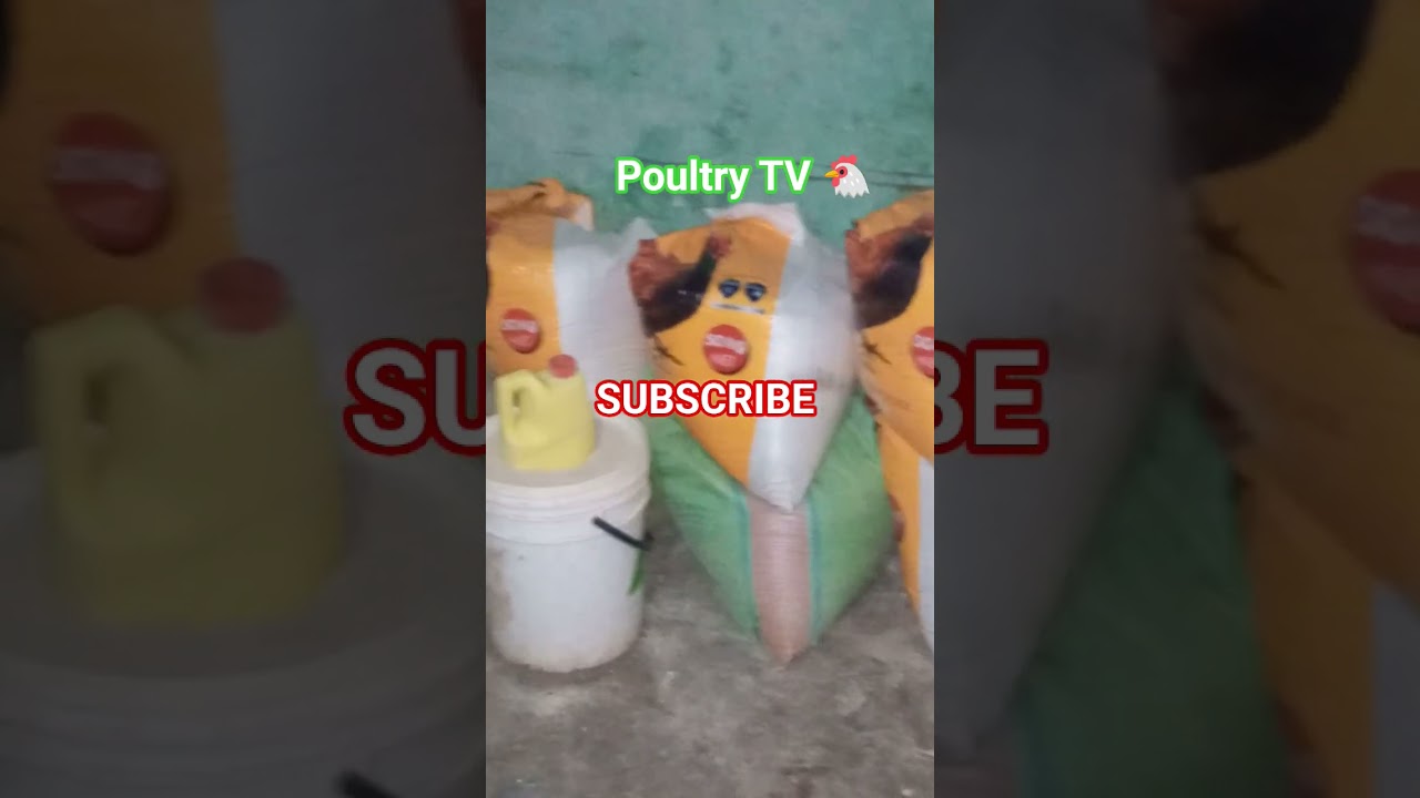 what to do during times of high feed prices