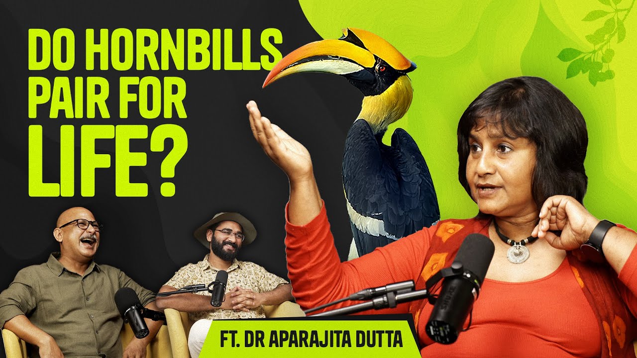 Why Hornbills Are the Forest&rsquo;s Architects - Ft Dr Aparajita Datta