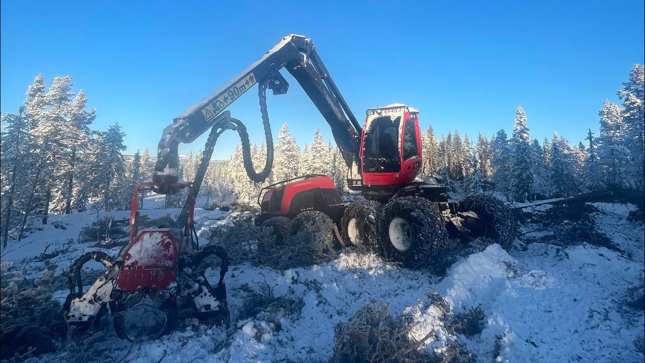 Komatsu 931XC hogger fin skog på Gol i Hallingdal.