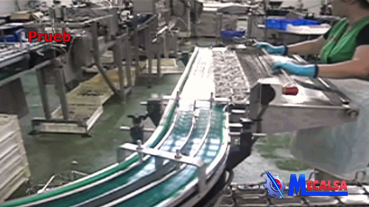 Línea de elaboración y procesado de sardina