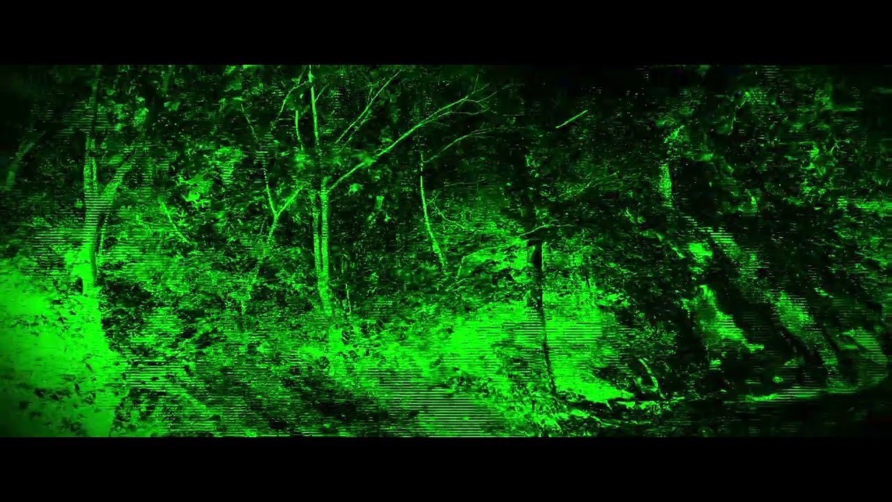 LEMARIAN - FOREST OF BITS