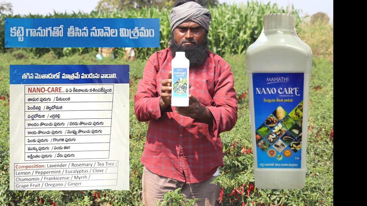 మిరప తోటకి ఈ మందు చాలా బాగా పని చేసింది | Chilli cultivation in telugu | Nanocare | Mirchi farming 