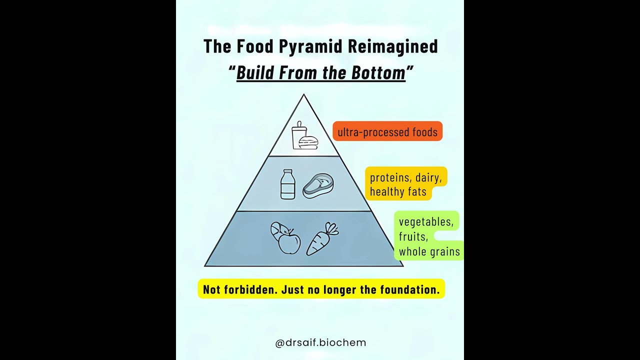 The US Food Pyramid Update!  