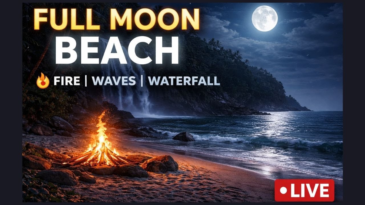 Full Moon Beach 🔥 13 hours of Fire, Waves & Waterfall | Deep Sleep & Calm Night Ambience (LIVE)