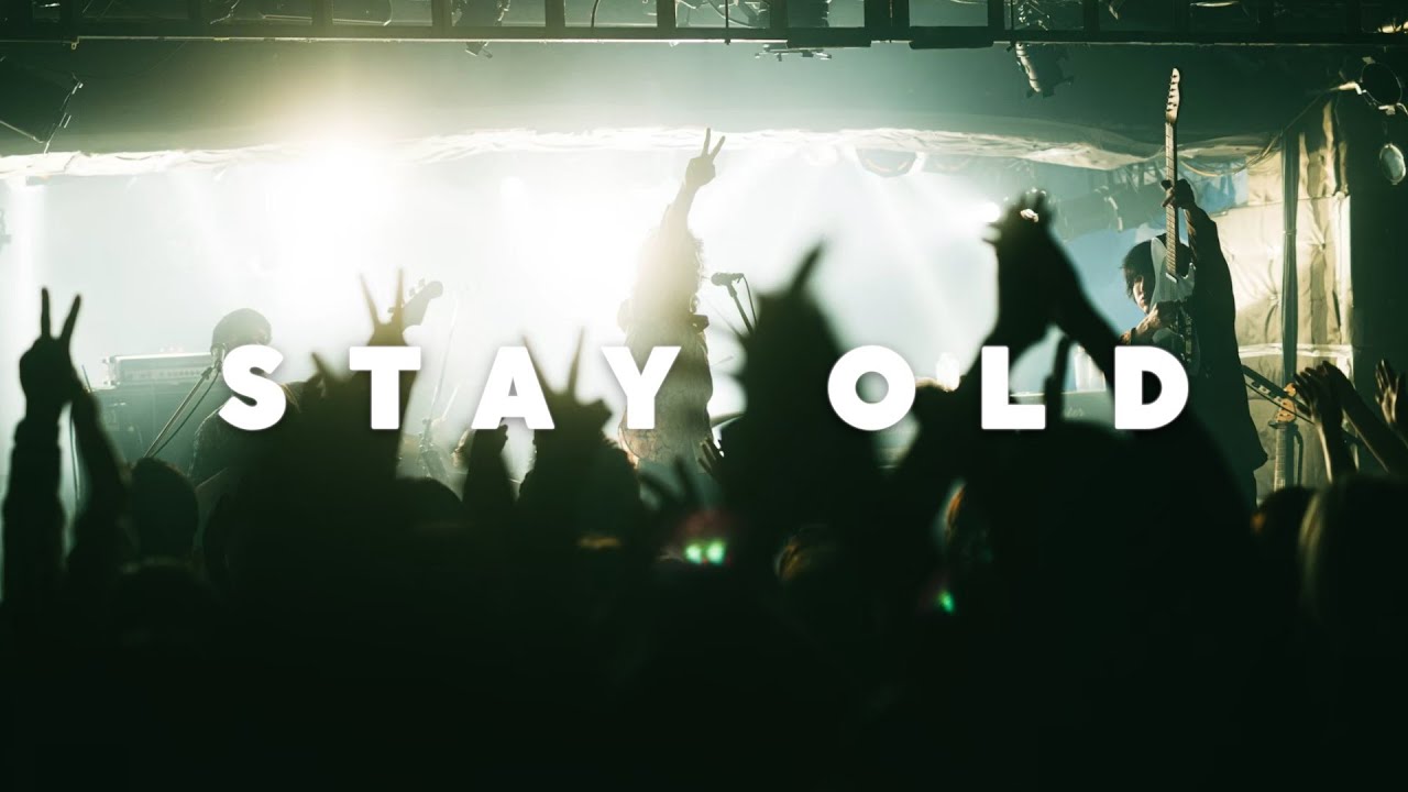 OLD JOE / STAY OLD