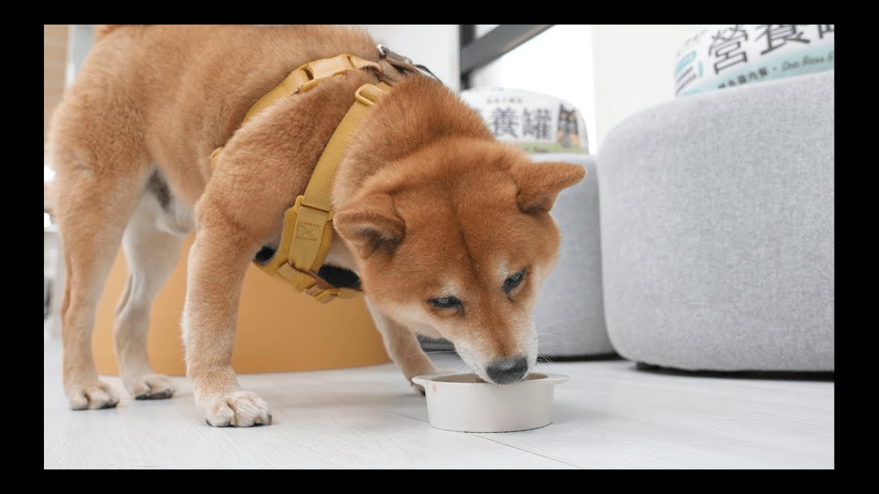 【台灣活力創業家】自力耕生股份有限公司