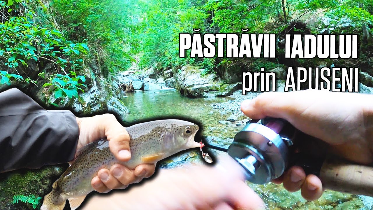 Andrei Sava - Pescuit la Pastrav si Clean in Apuseni