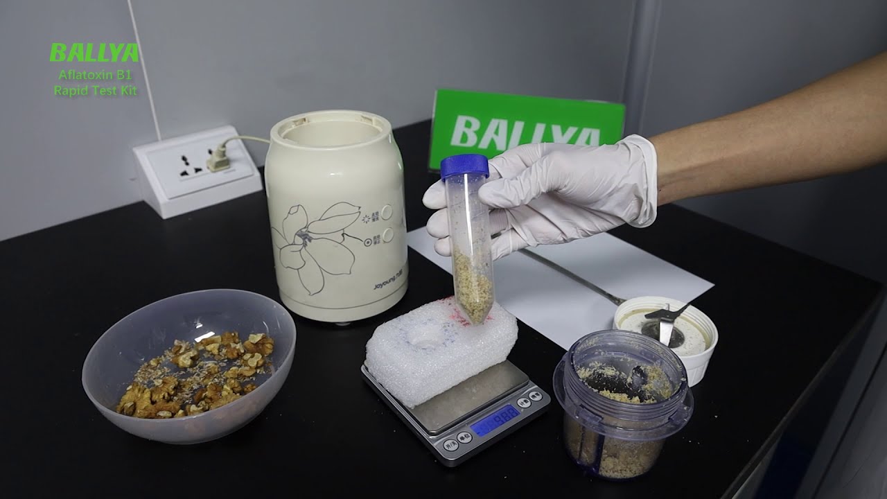 Aflatoxin B1 Rapid Test - Detection of Aflatoxin B1 in Walnut - BALLYA
