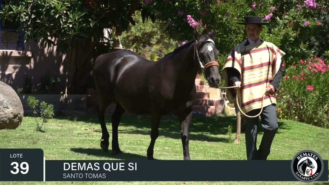 39 DEMAS QUE SI Criadero LOS TRES ARTUROS