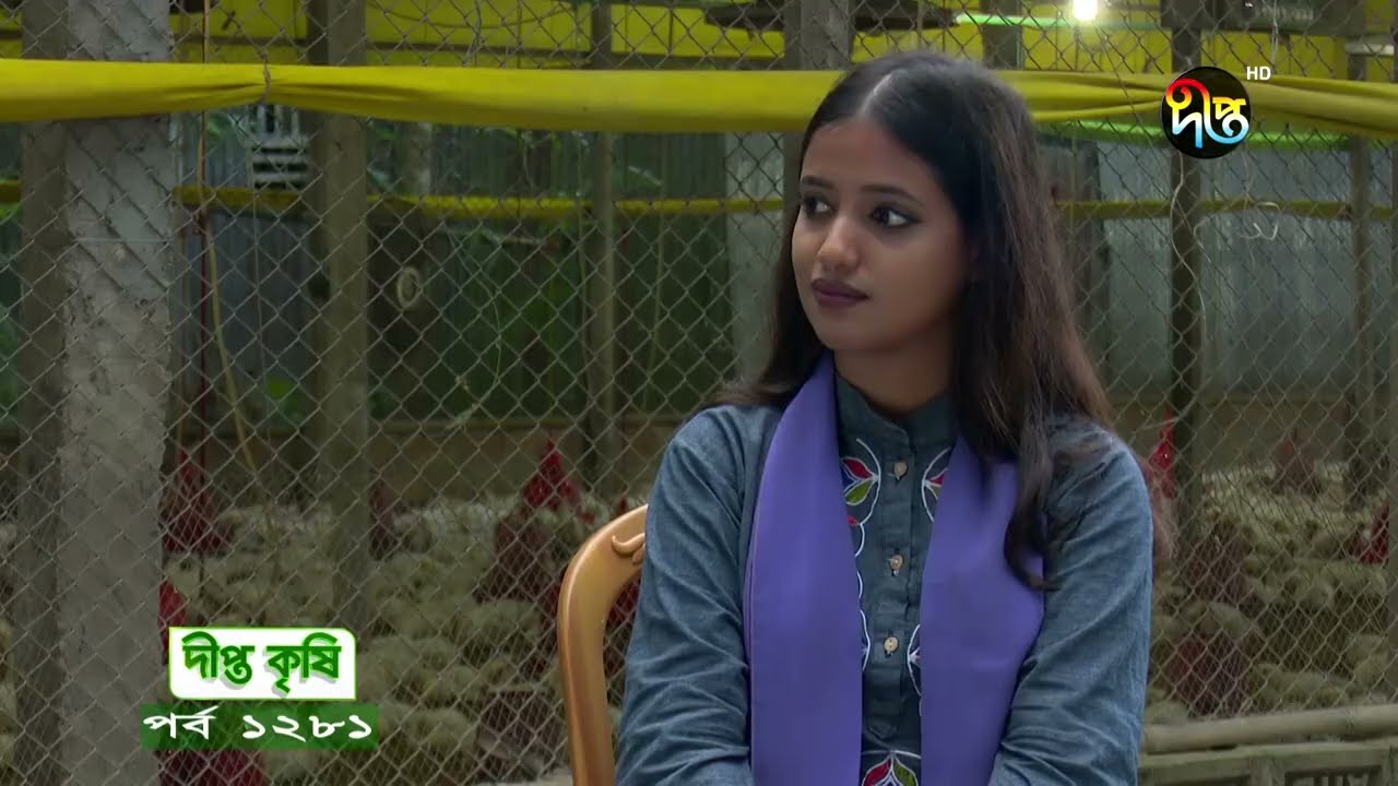 Contract Broiler Farming  | কন্ট্রাক্ট ব্রয়লার ফার্মিংয়ের মাধ্যমে একজন খামারি যেসব সুবিধাগুলো পাচ্ছে