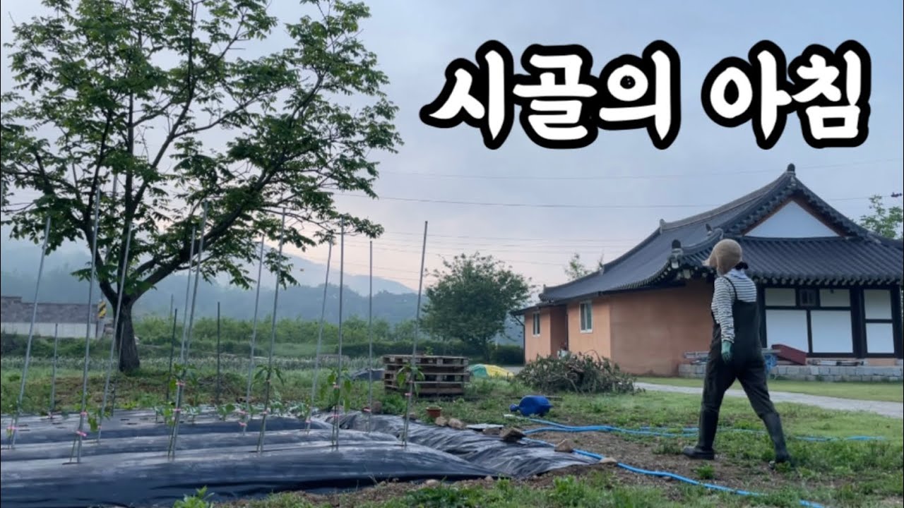 천국보다 아름다운 시골의 아침 일상