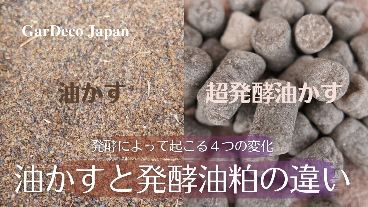 油かすと発酵油粕の違い知っておきたい４つのポイント