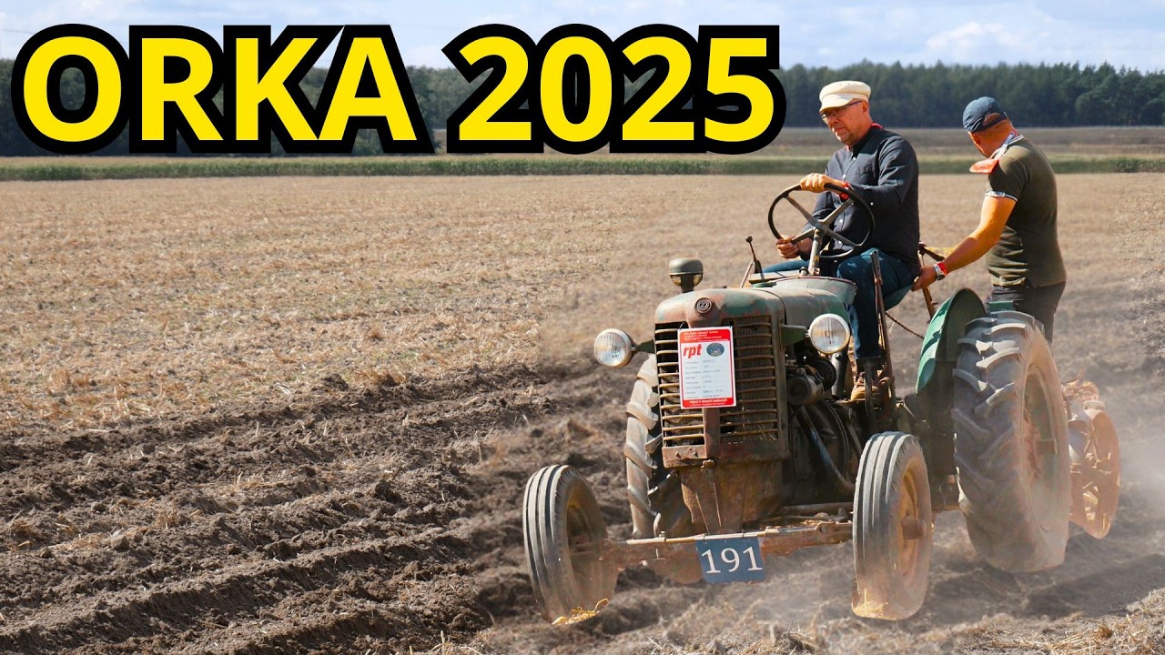 Orka ZETOR 25 + ZETOR 25A + McCormick + Ursus C-330 | WILKOWICE 2025