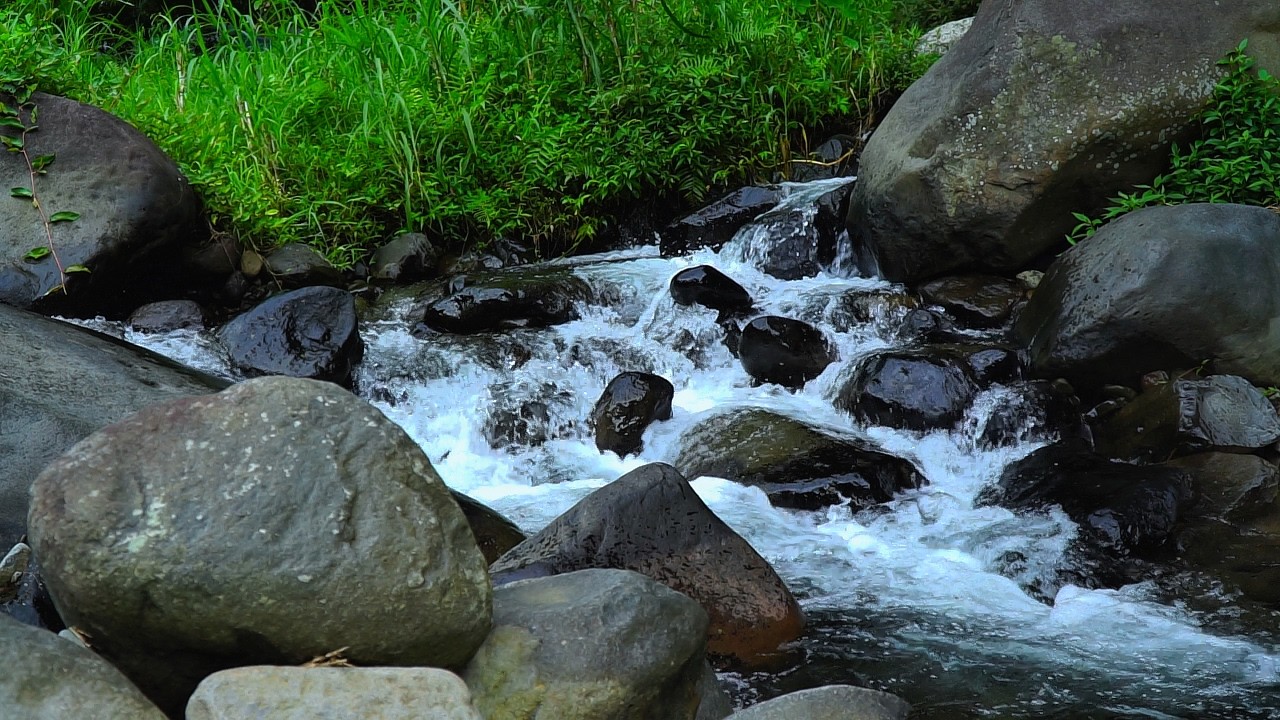 Natural River Sounds for Studying and Focus | Relaxing Flowing Water Ambience 3