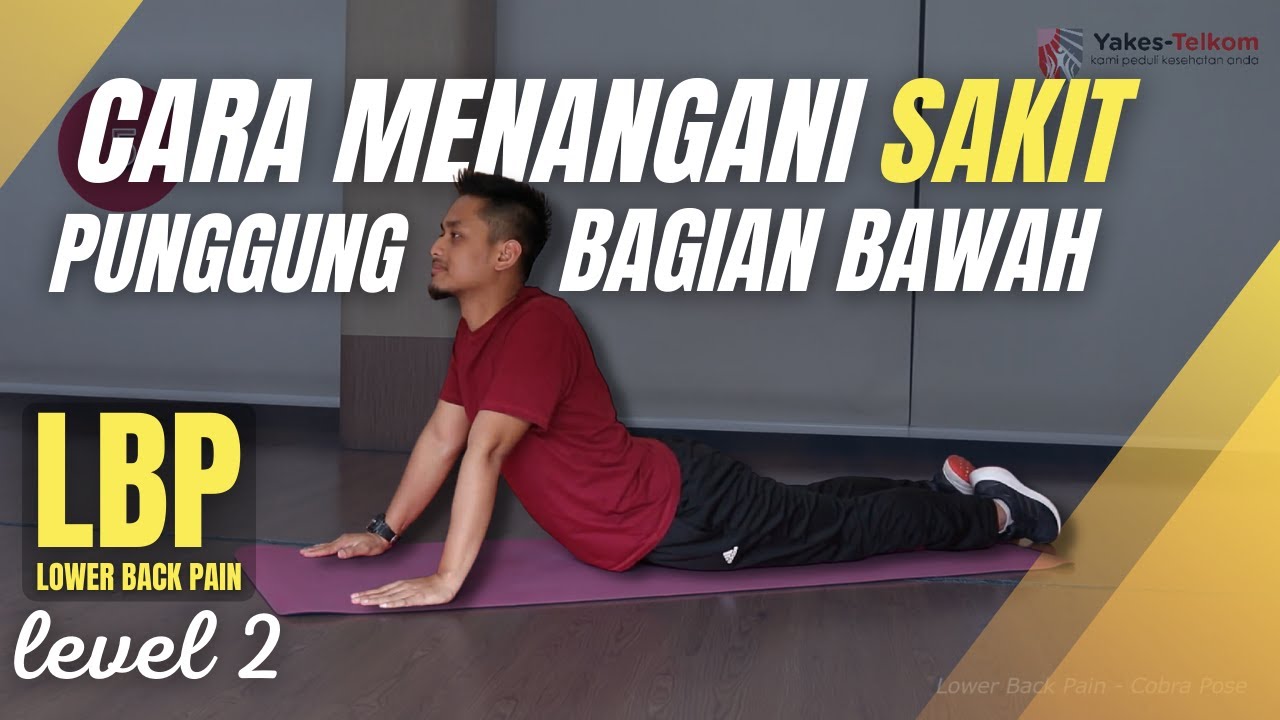 6 Gerakan Mengatasi Sakit Punggung Bawah (Level 2)