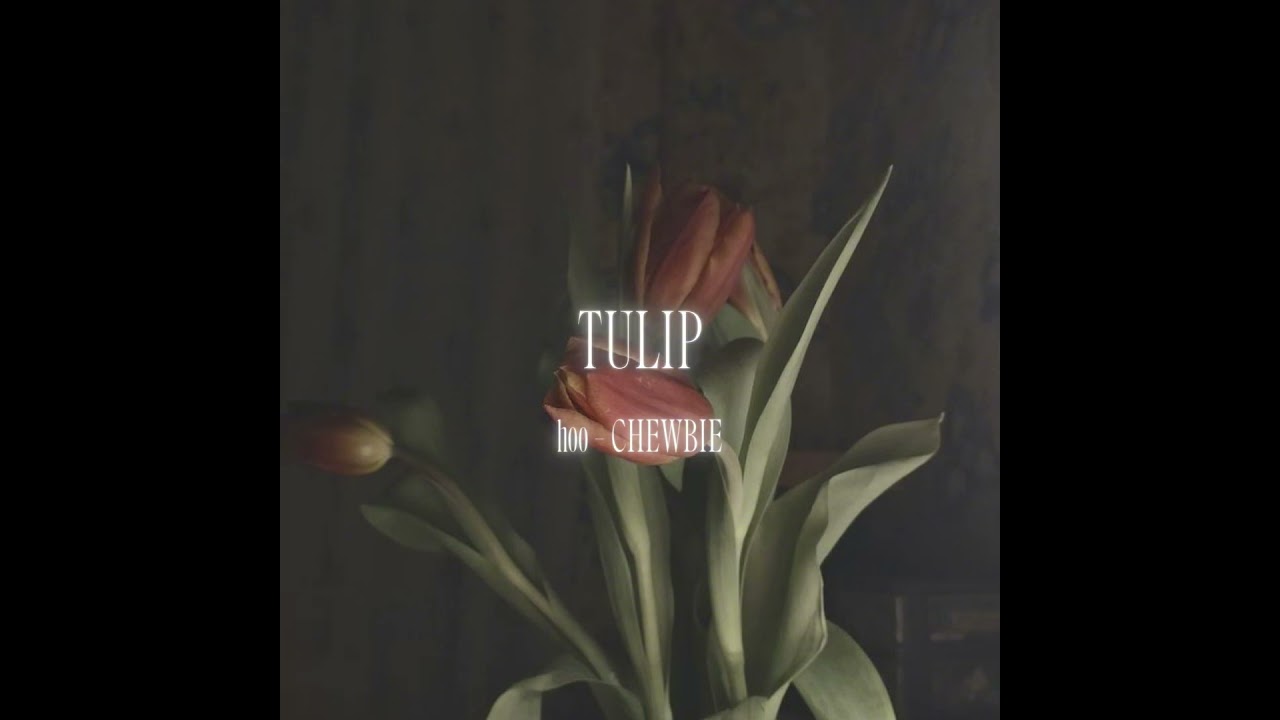 TULIP - hoo , Chewbie , thanhluan (OFFICIAL AUDIO)