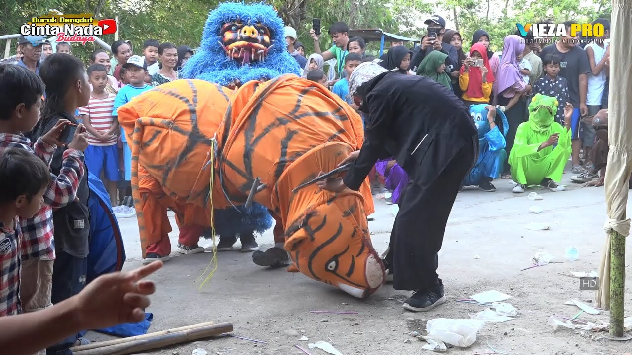 CAN MACAN TARUNGAN ~ BUROK DANGDUT CINTA NADA BUDAYA SHOW KALENPANDAN 19/12/2023