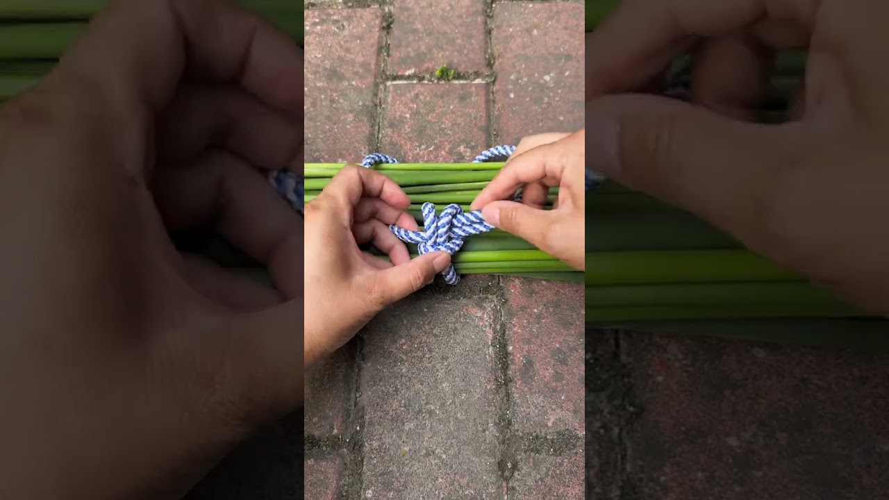 Easy Knot simple and convenient, safe