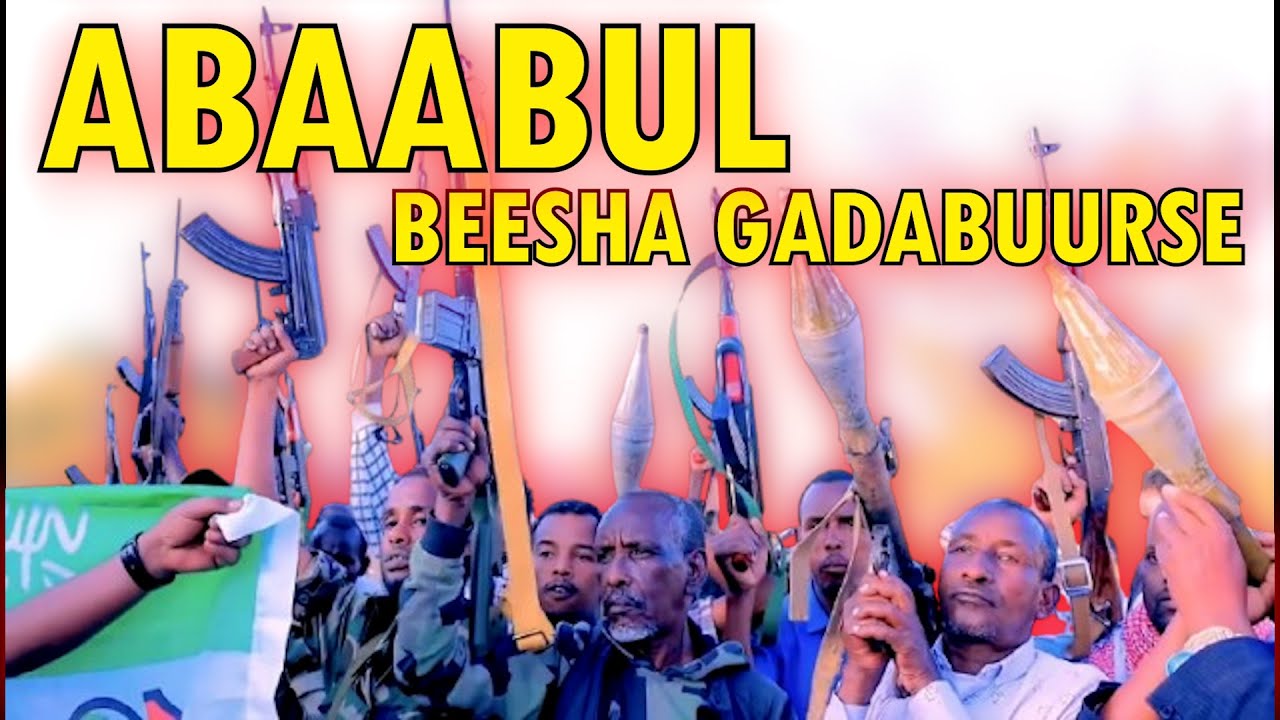 DEGDEG Beesha Gadabuurse oo wada abaabul xoogan si ay u gumaado beesha Ciise + Xogo kale oo.........