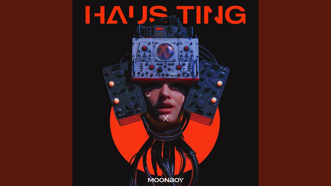 HAUS TING