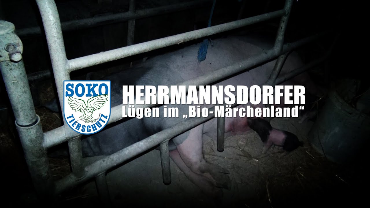 HERRMANNSDORFER - L&uuml;gen im 