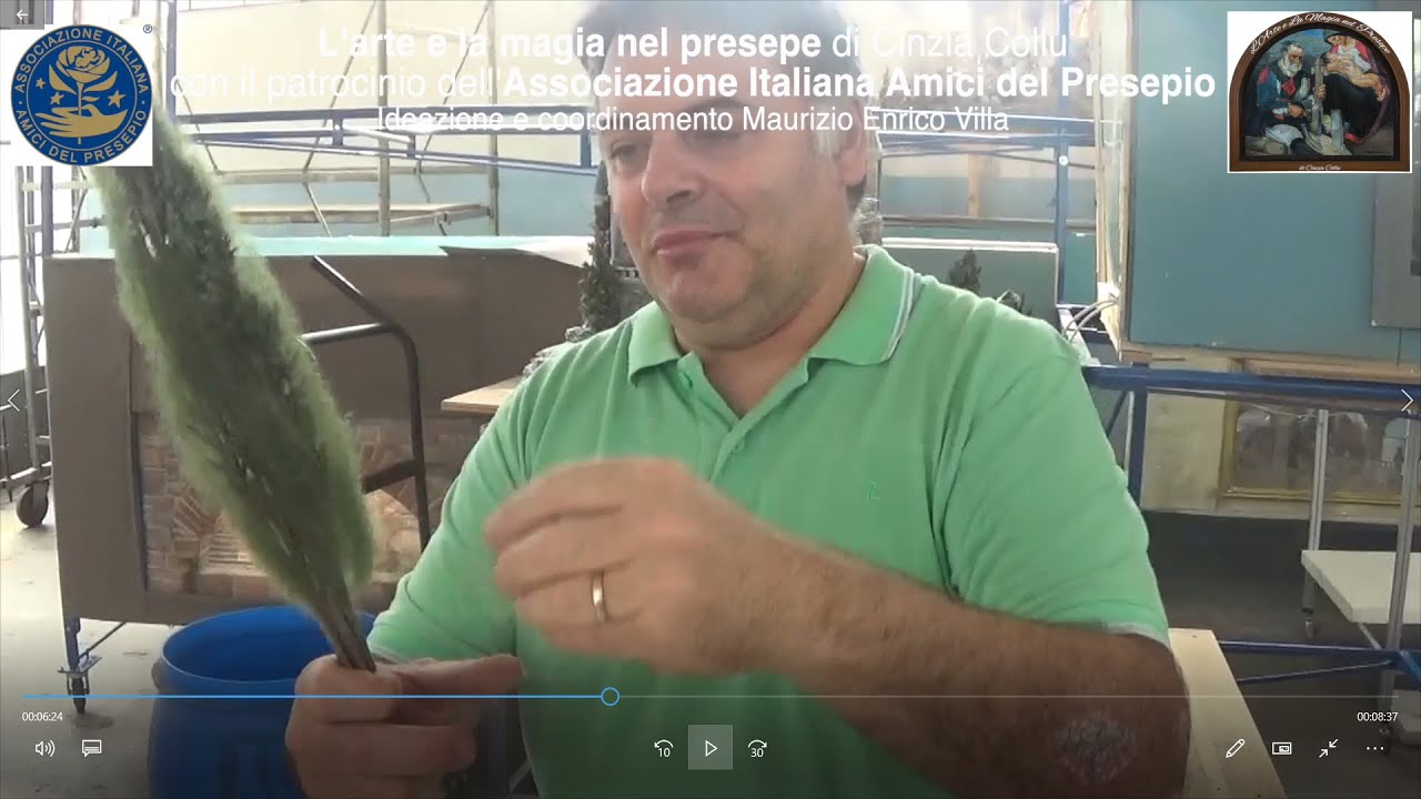 Come realizzare un cipresso