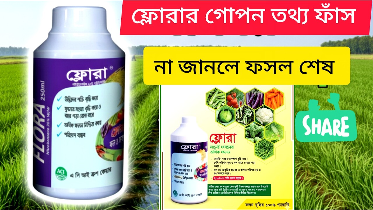 ফ্লোরা এর কাজ কি? ধানের ফলন বাড়ানোর ভিটামিন |ধানের ফলন বৃদ্ধির ঔষধ |ফ্লোরা কি কাজ করে flora vitamin