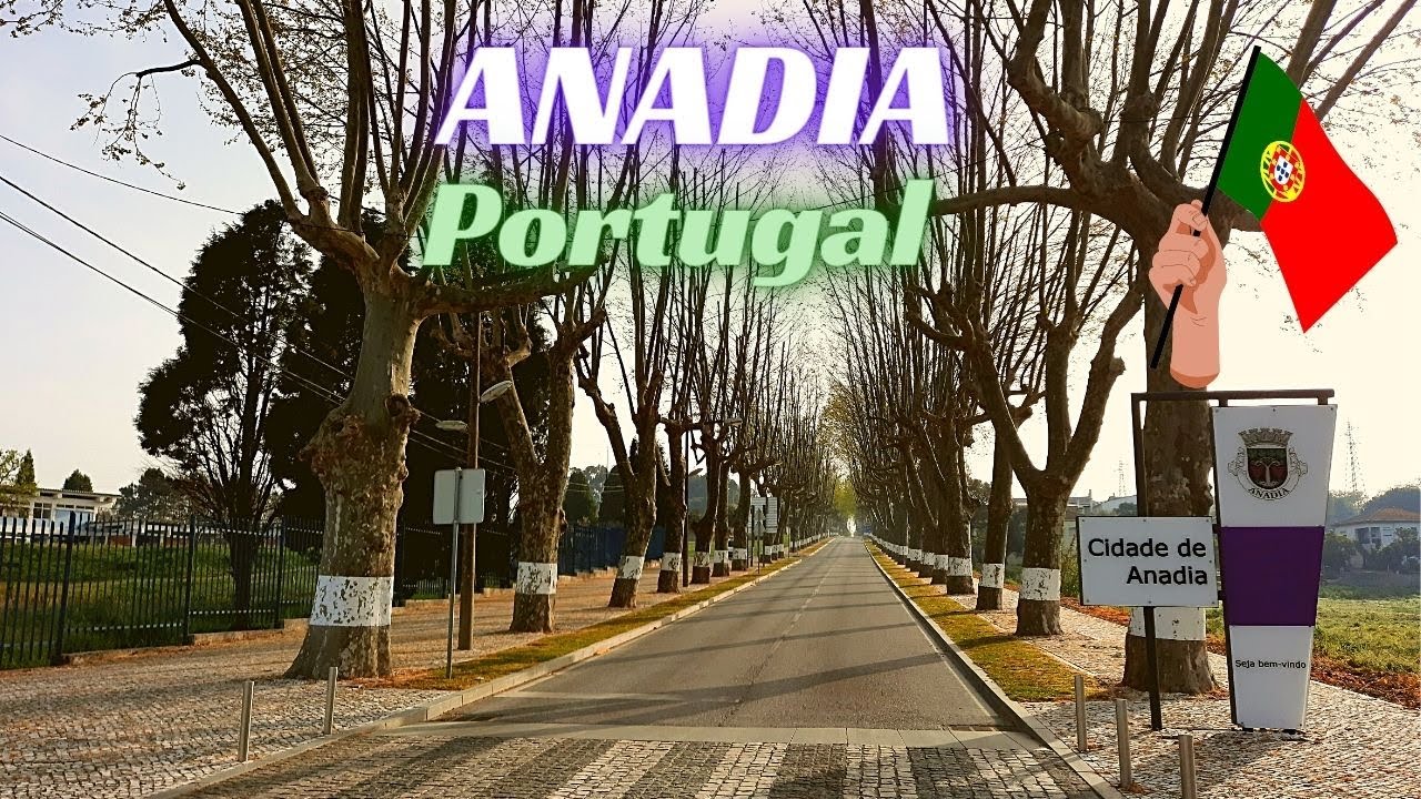 Anadia Portugal 🇵🇹 | Conhecendo um pouco mais essa Cidade Portuguesa 🇵🇹