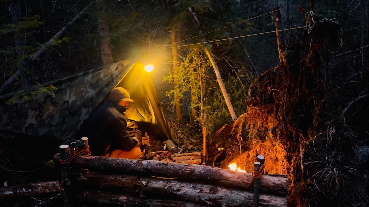 WILD CAMPING- TARP SHELTER AT BASE OF UPROOTED TREE