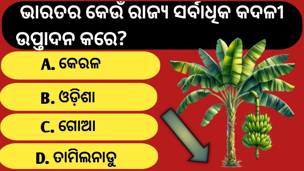 1. ଭାରତର କେଉଁ ରାଜ୍ୟ ସର୍ବାଧିକ କଦଳୀ ଉପ୍ତାଦନ କରେ? #brgkstudy #gk #gkquiz
