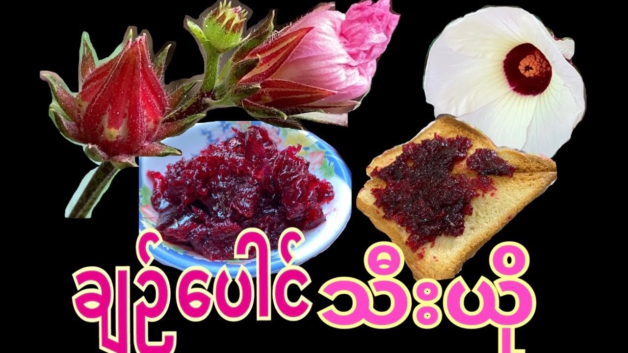 ချဉ်ပေါင်သီးယိုလုပ်နည်း