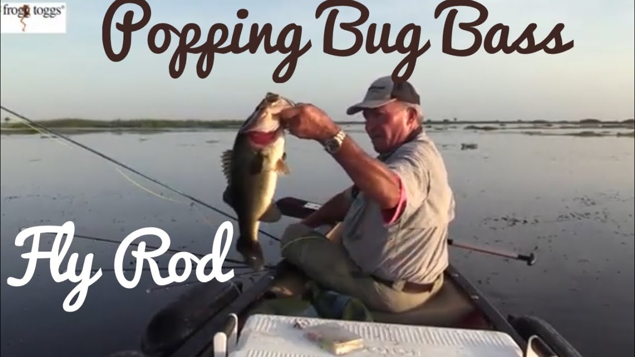 Fly Rod Popping Bug Bass