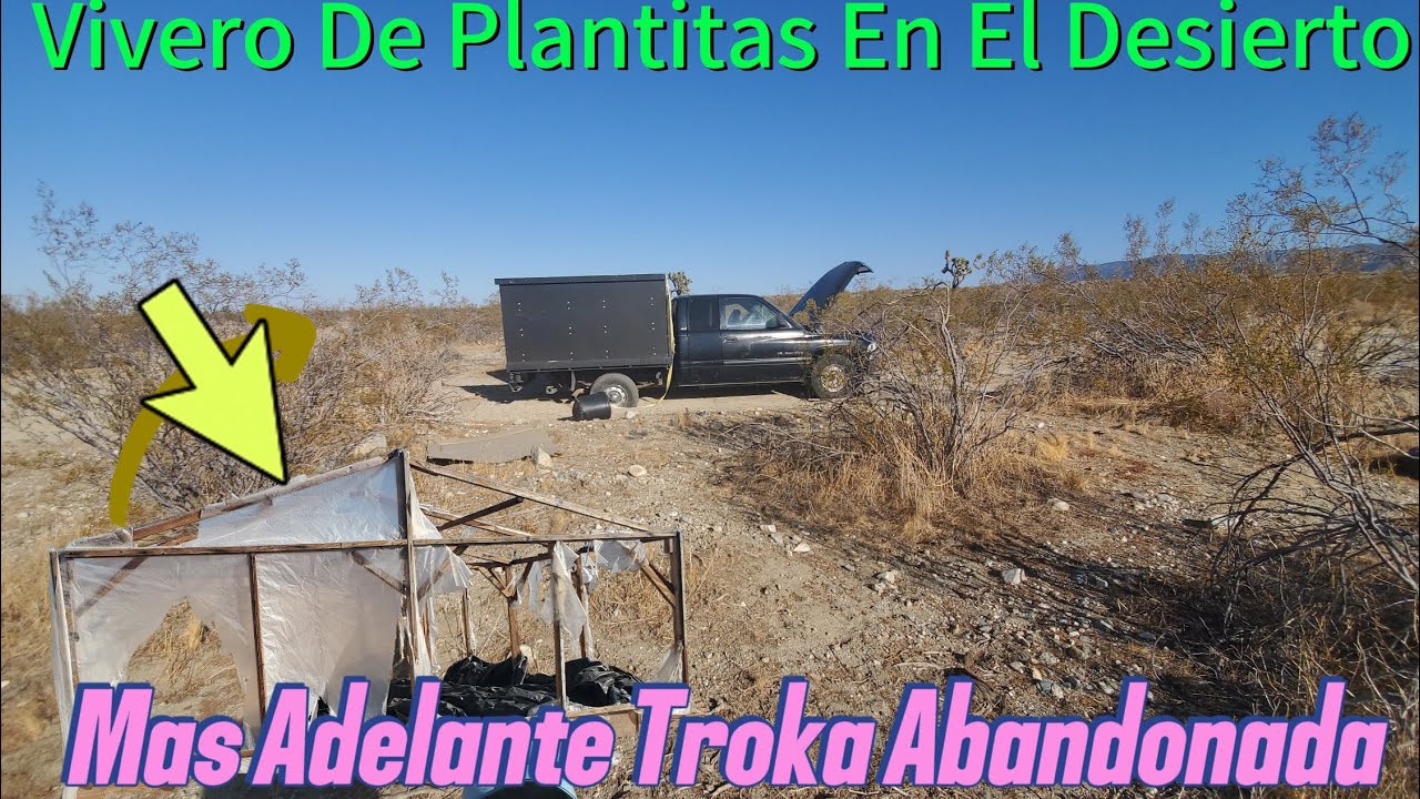 Troka De Costruccion Abandonda En El Desierto Y Vivero De Mariajuana Destruido  