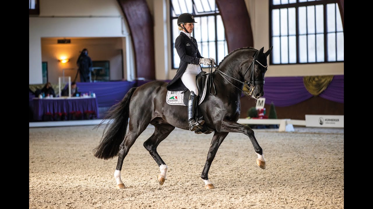 Top Gear - Stallion Collection Schockemoehle & Helgstrand 2021 ENG