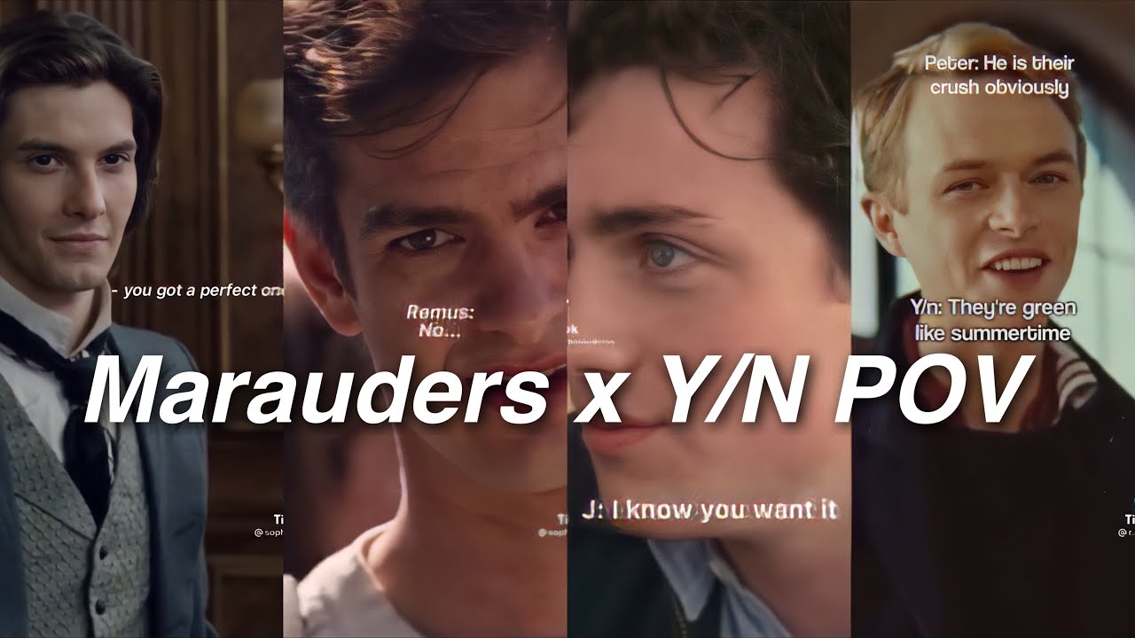 Marauders x Y/N TikTok POV