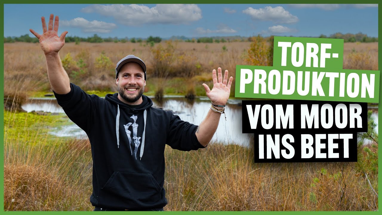 #203 Der Weg des Torfes, aus dem Moor in die Verpackung, so sieht der ganze Prozess aus