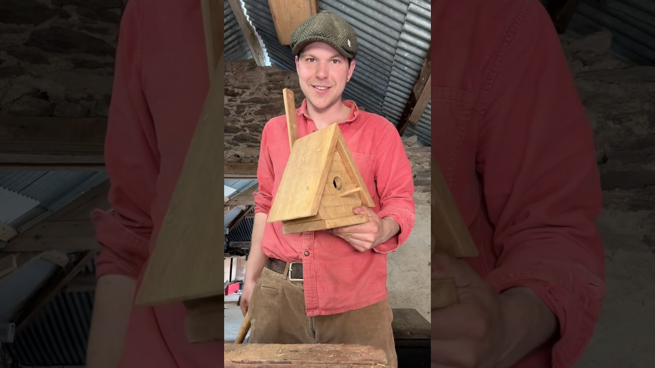 Building a Birdhouse #birdhouse #woodwork #nature #ireland #birds #oak