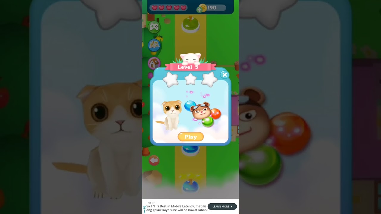 Cat Bubble Level 1 to 10 Doggy Daycare 