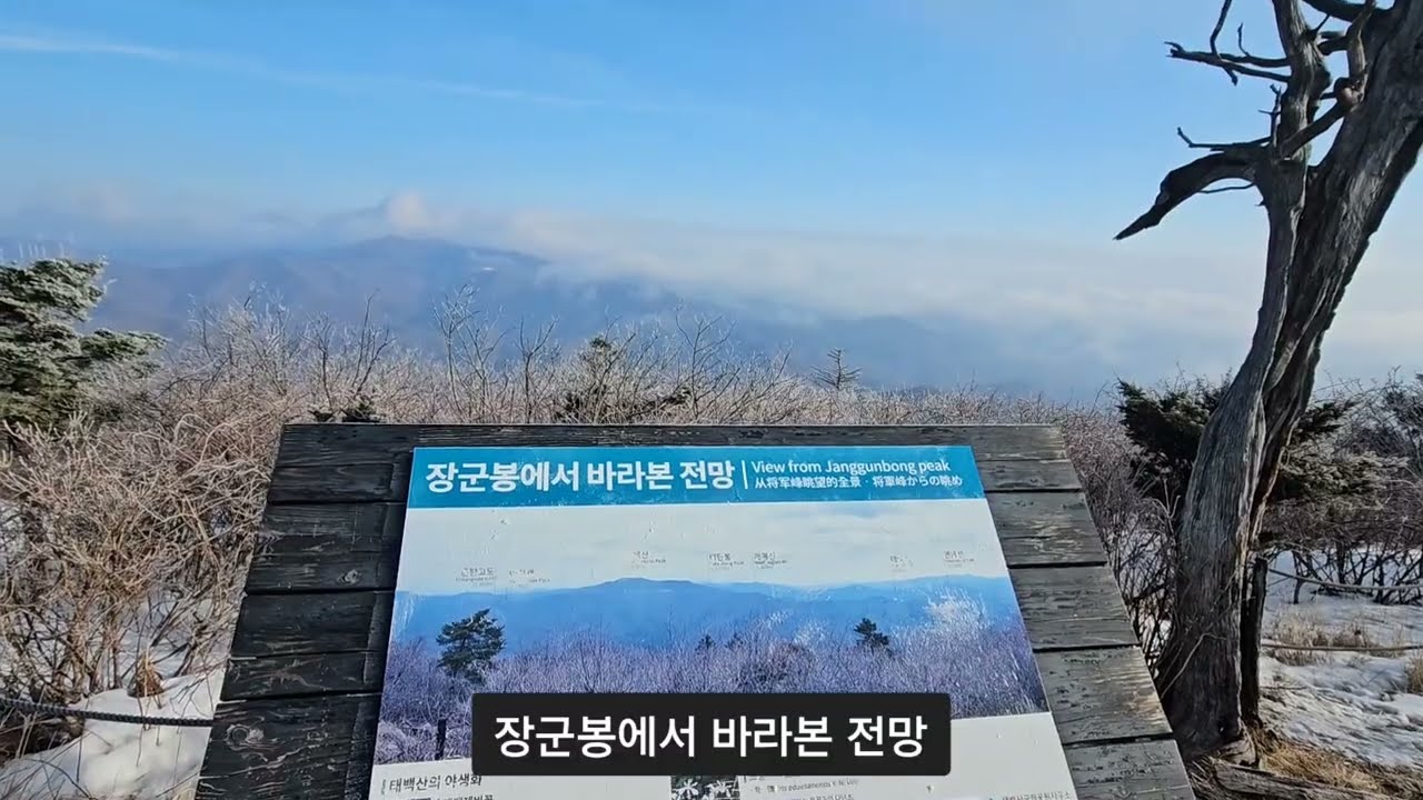 260216 태백산 산행