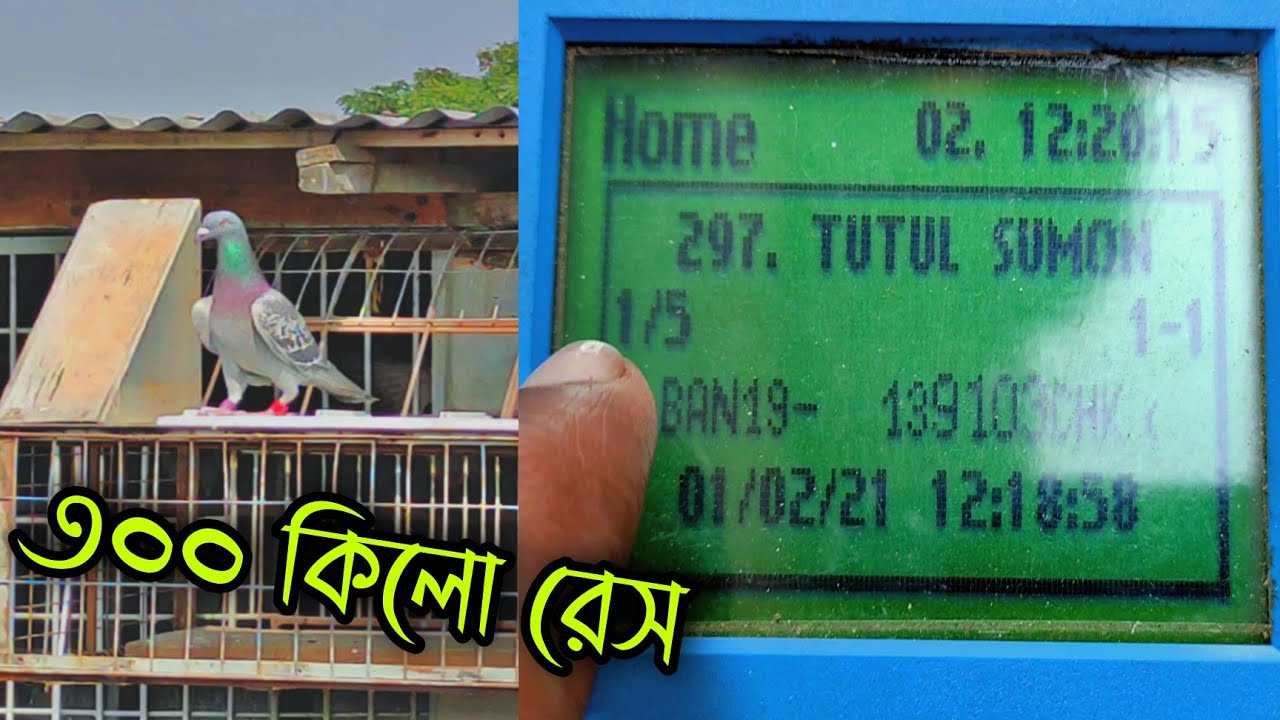 জীবনের প্রথম!