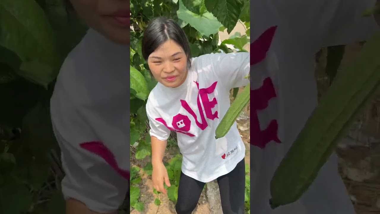 每次回家都是满载而归😄😄我妈种的丝瓜又丰收了#我的乡村生活
