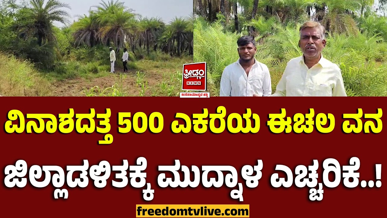 Yadgiri: ವಿನಾಶದತ್ತ 500 ಎಕರೆಯ ಈಚಲ ವನ.. ಜಿಲ್ಲಾಡಳಿತಕ್ಕೆ ಮುದ್ನಾಳ ಎಚ್ಚರಿಕೆ..! | FreedomTV Kannada