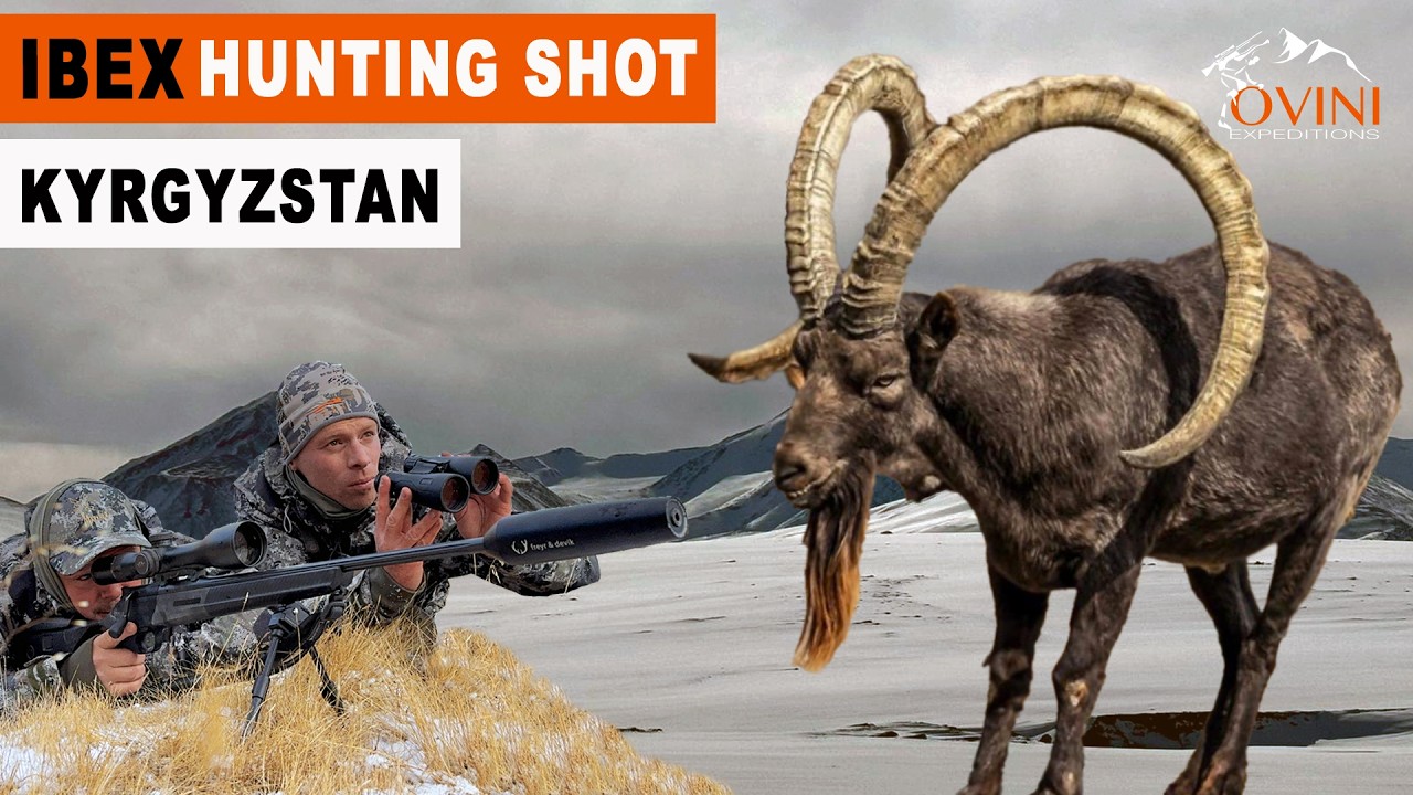 Ibex hunting shot Kyrgyzstan - Chasse de l'Ibex au Kirghizistan