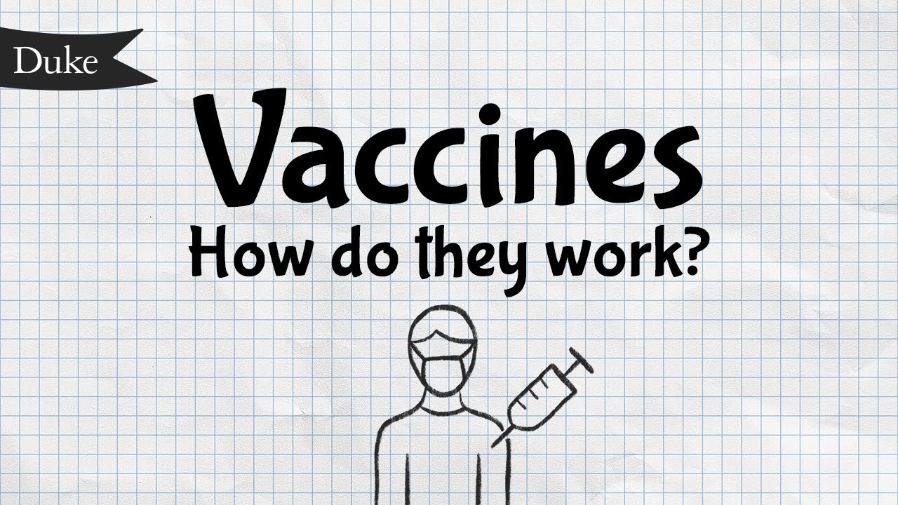 How Do Vaccines Work? | Quick Learner