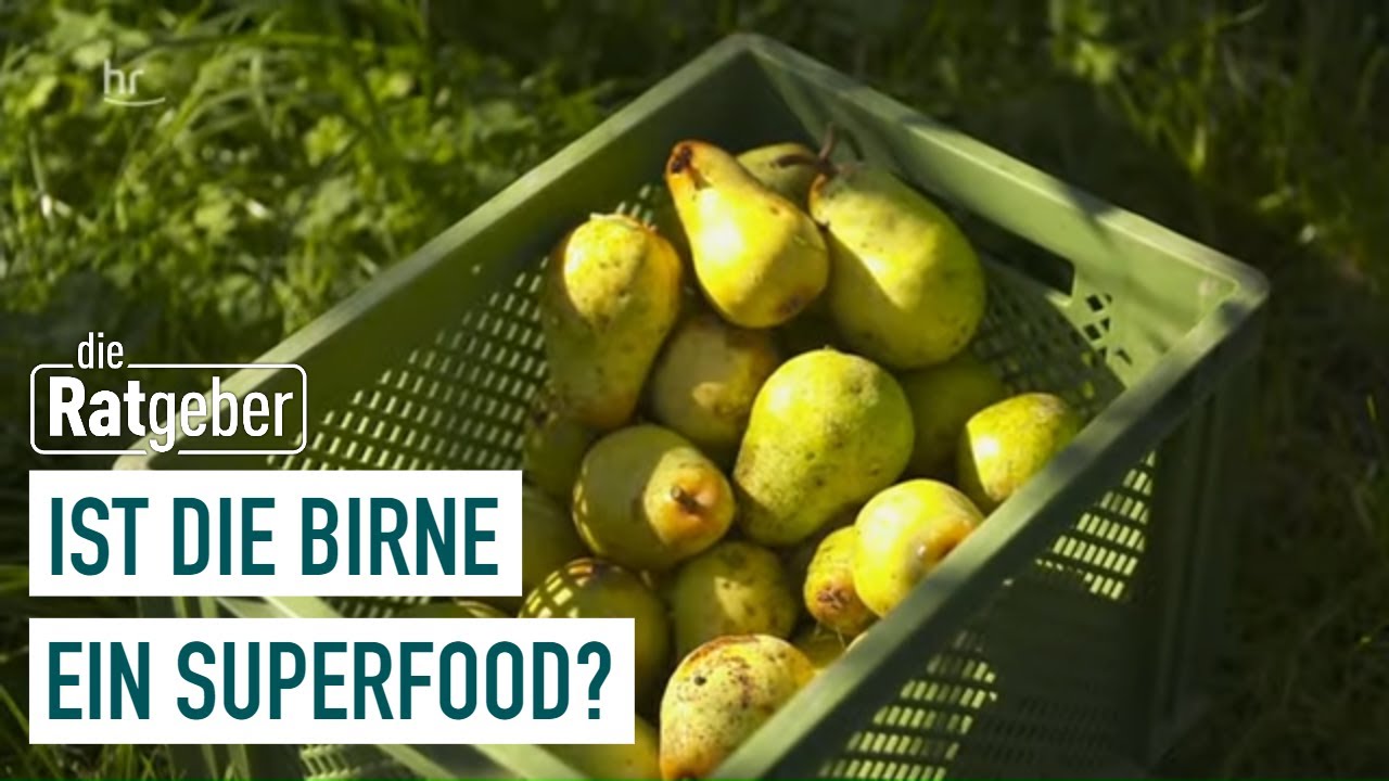 Birnen – das heimliche Superfood? | Die Ratgeber