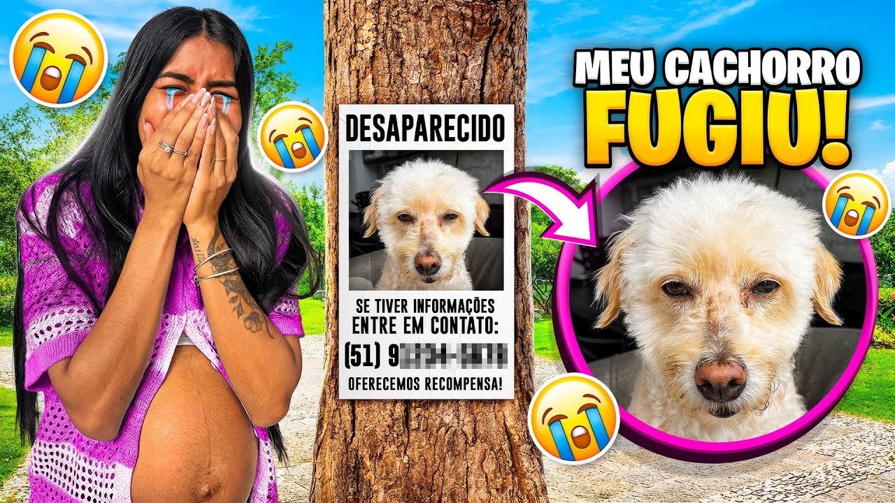 O SLINK SUMIU *chorei muito 