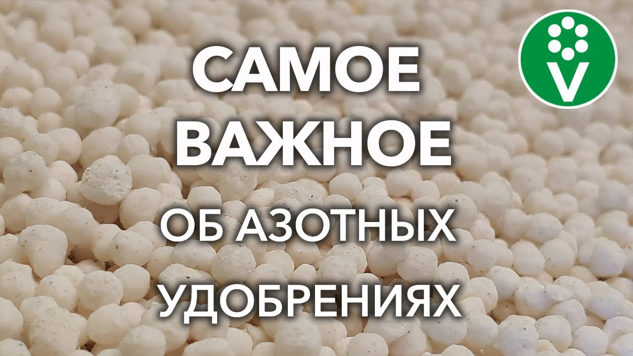 КАКИЕ АЗОТНЫЕ УДОБРЕНИЯ ВНОСИТЬ ВЕСНОЙ, А КАКИЕ ТОЛЬКО ЛЕТОМ? Виды удобрений, правила внесения