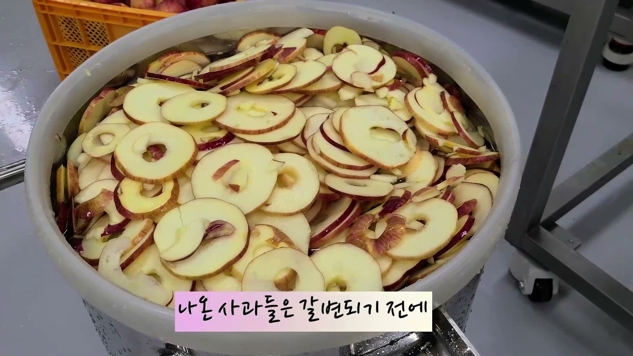 [엠지산업 동결건조기] 동결건조 사과칩 만들기