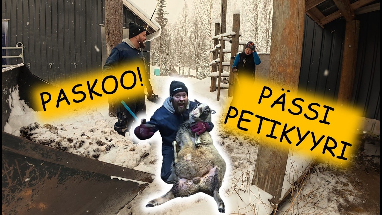 Sorkat kuntoon ja pökäleet pinoon: Itäsuomalaista parisuhdeterapiaa