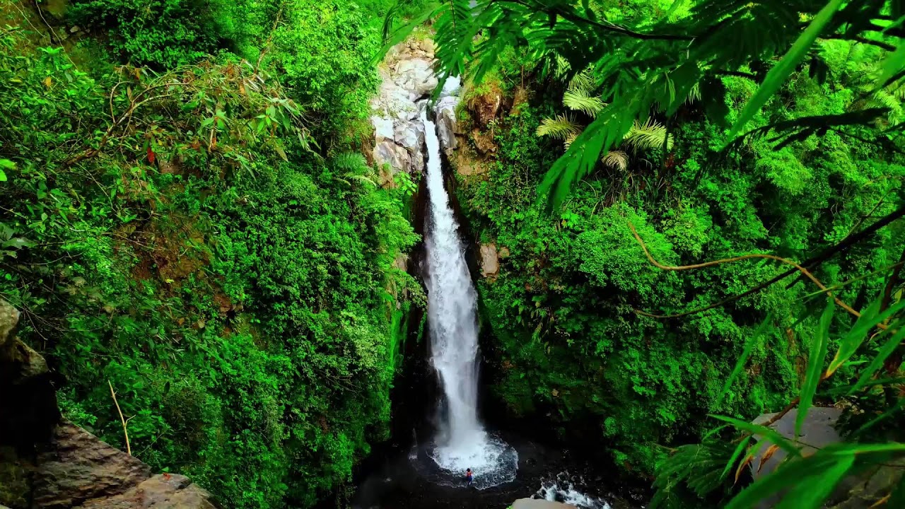 Gentle River Sound Therapy to Calm Anxiety and Heal the Emotional Mind
